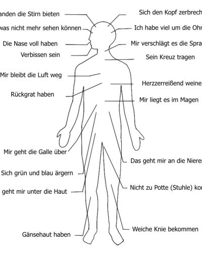 Wie wirkt sich Stress auf unseren Körper aus