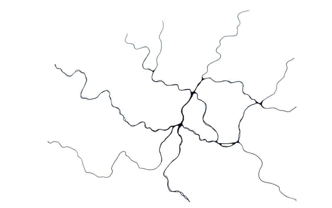 Die neurographische Linie – Einführung in die Neurographik